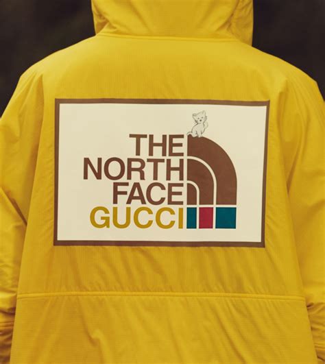 the north face gucci buy